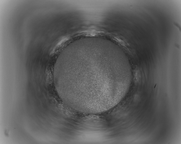 X0000100231446200806061357