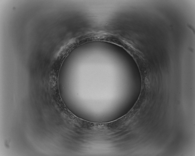 X0000100231447200806061357