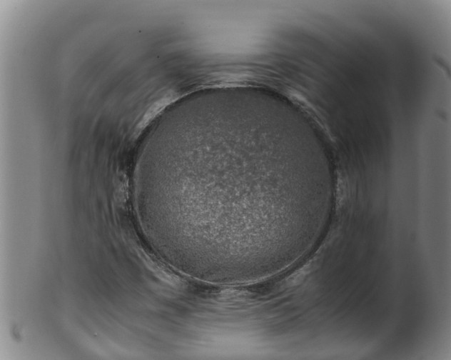 X0000100231449200806061357