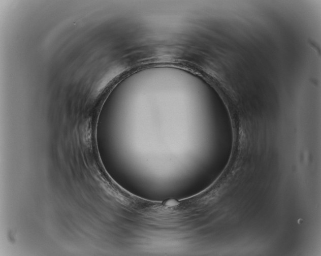 X0000100231450200806061357