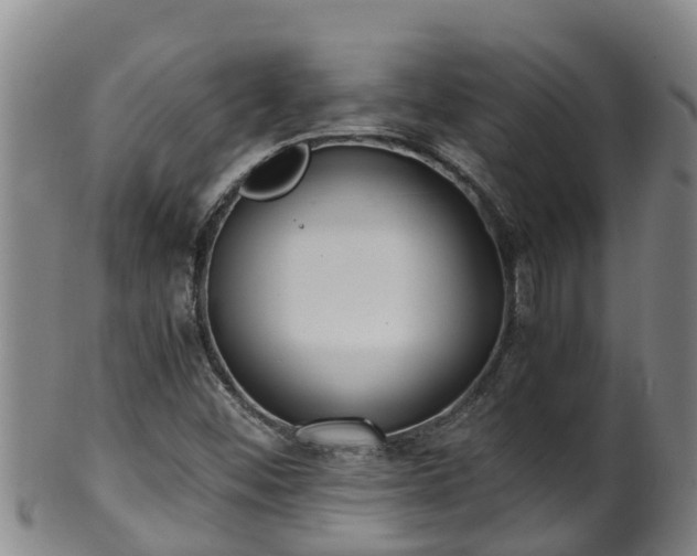 X0000100231452200806061357