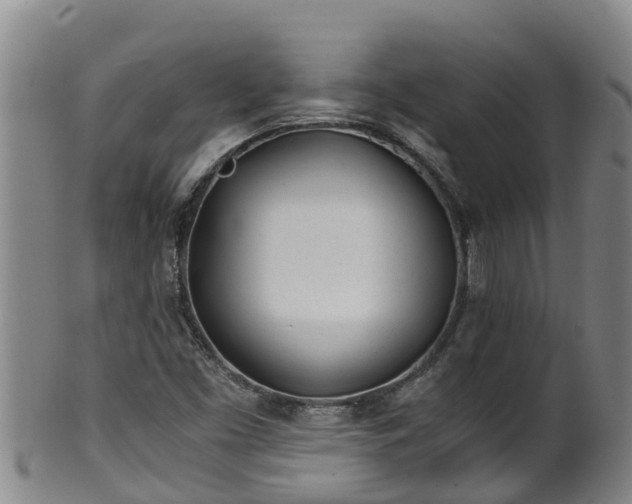 X0000100231453200806061357