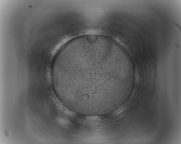 X0000100231454200806061357