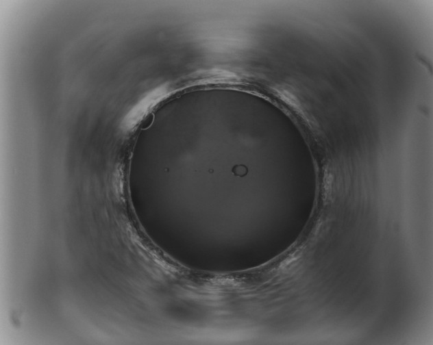 X0000100231455200806061357