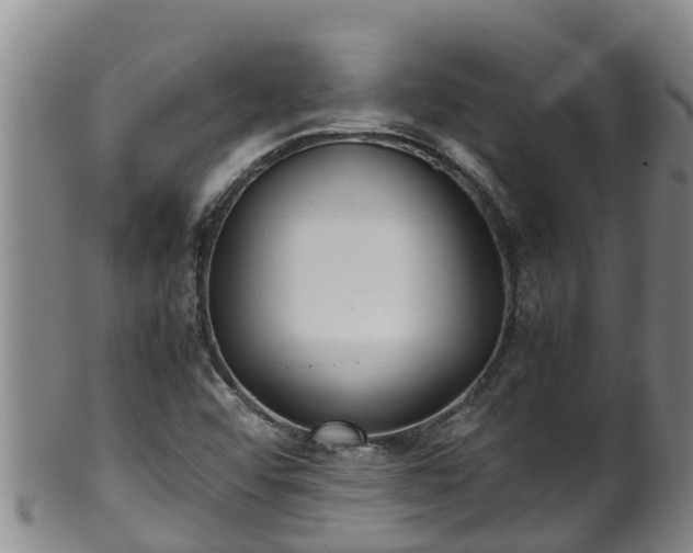 X0000100231456200806061357