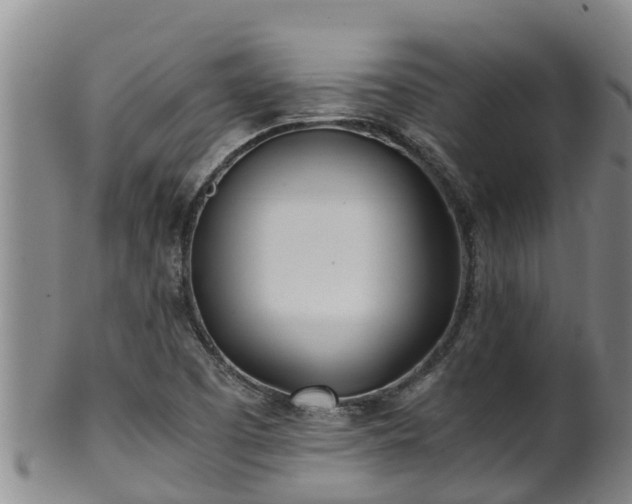 X0000100231457200806061357