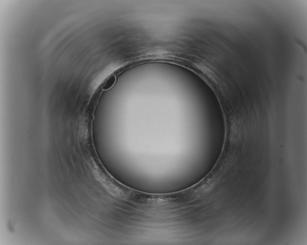 X0000100231458200806061357