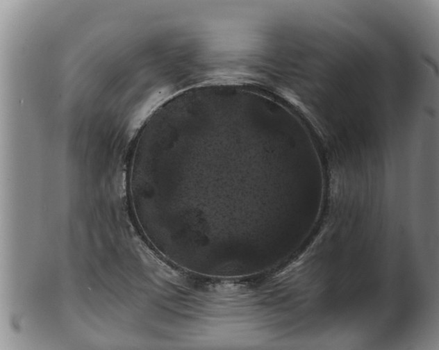 X0000100231459200806061357