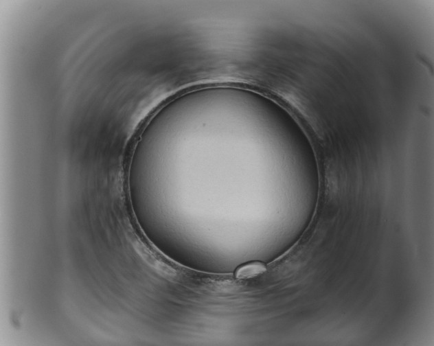 X0000100231460200806061357