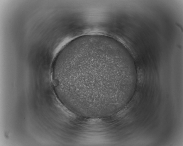 X0000100231462200806061357