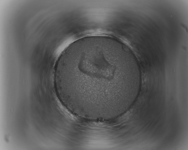 X0000100231463200806061357