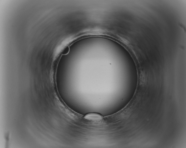 X0000100231464200806061357