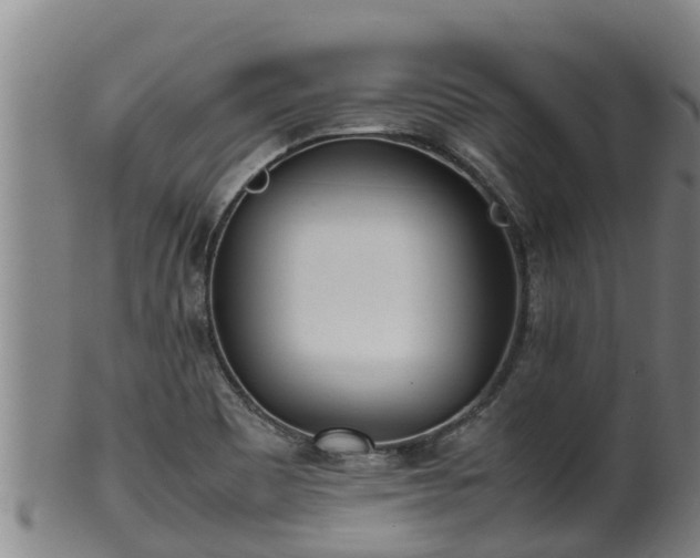 X0000100231465200806061357