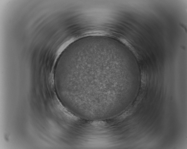 X0000100231466200806061357