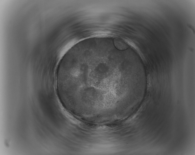 X0000100231467200806061357