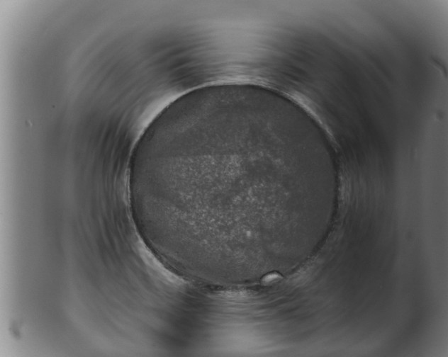 X0000100231468200806061357