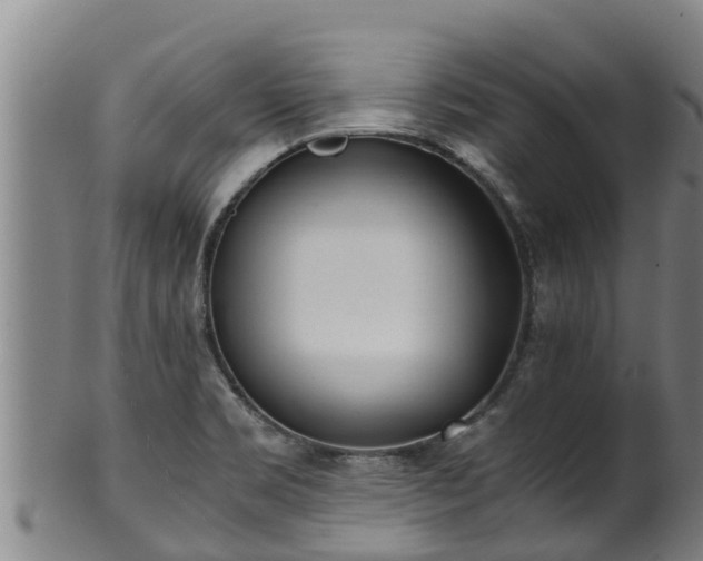 X0000100231469200806061357