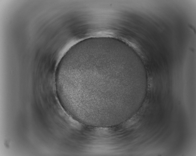 X0000100231470200806061357