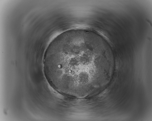 X0000100231471200806061357