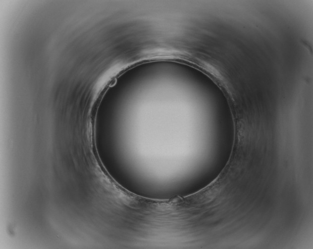 X0000100231472200806061357