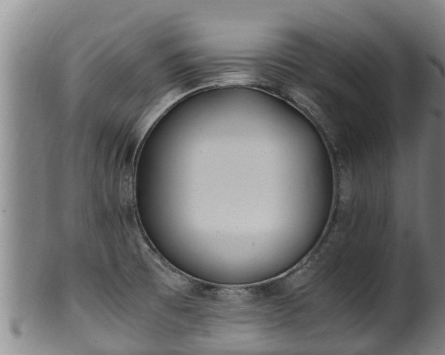 X0000100231473200806061357