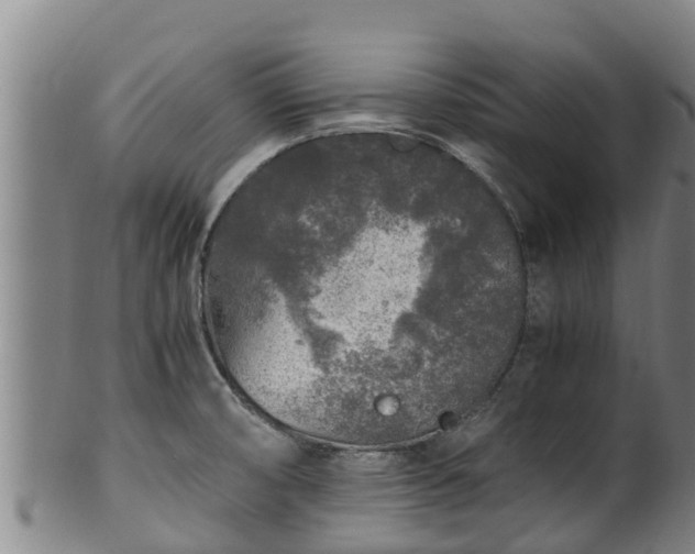 X0000100231474200806061357