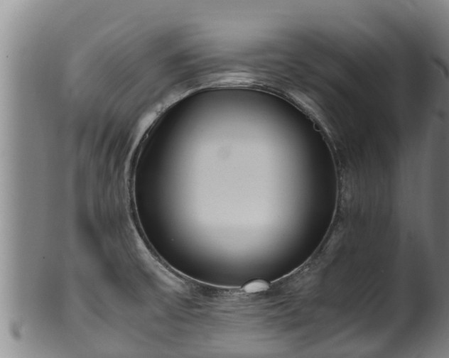 X0000100231475200806061357