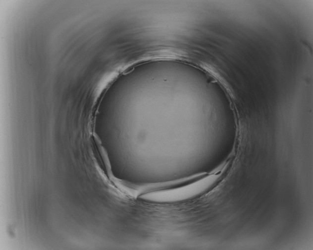 X0000100231477200806061357