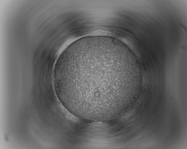 X0000100231478200806061357