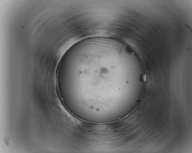 X0000100231479200806061357