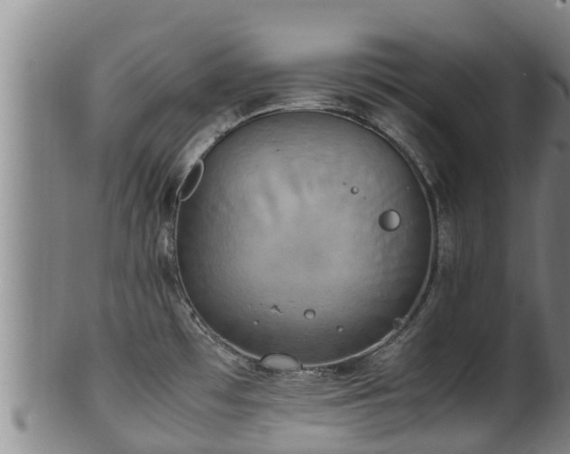 X0000100231481200806061357