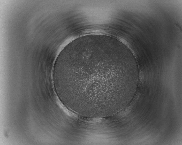 X0000100231482200806061357