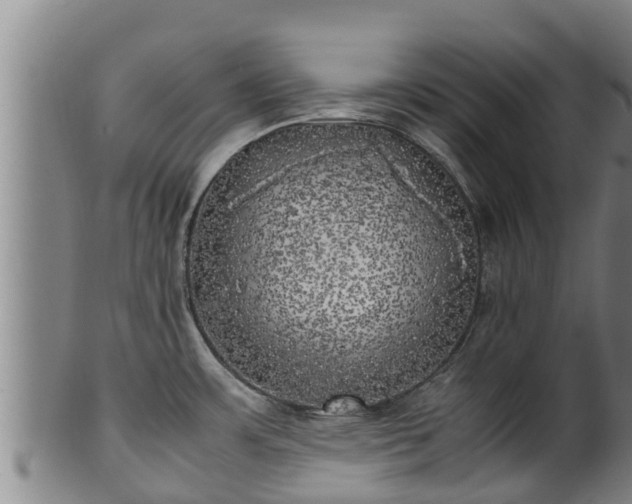 X0000100231483200806061357