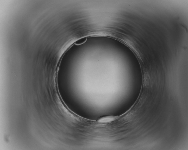 X0000100231484200806061357