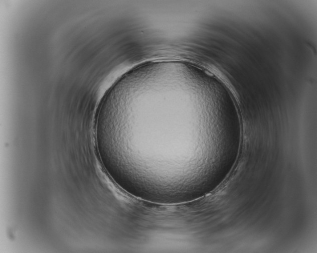 X0000100231485200806061357