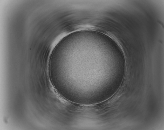 X0000100231488200806061357