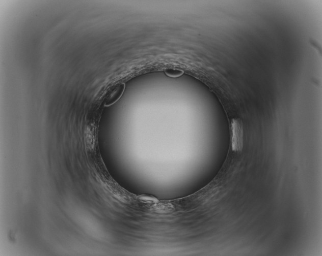 X0000100231491200806061356