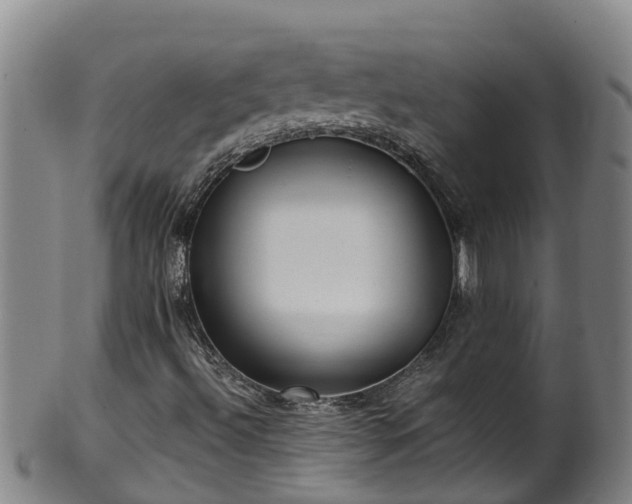 X0000100231492200806061356