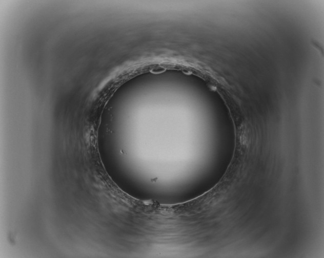 X0000100231495200806061356