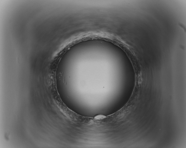 X0000100231496200806061356