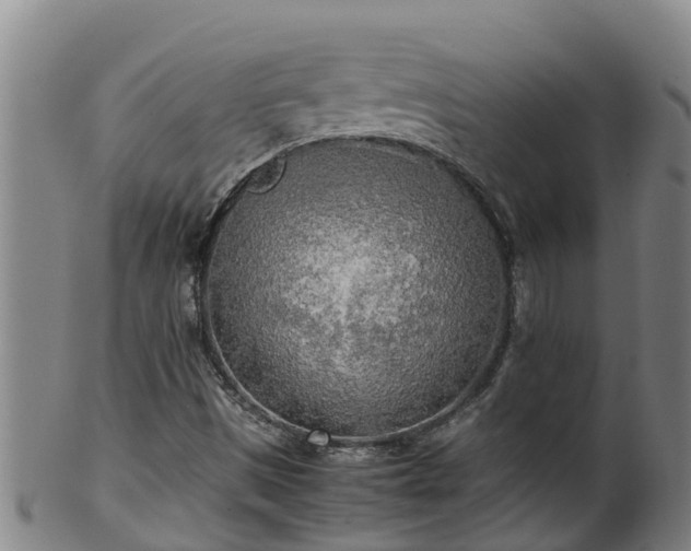 X0000100231497200806061356