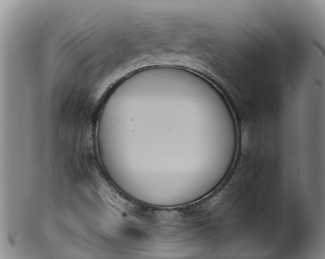 X0000100231498200806061356