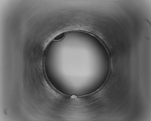 X0000100231500200806061356