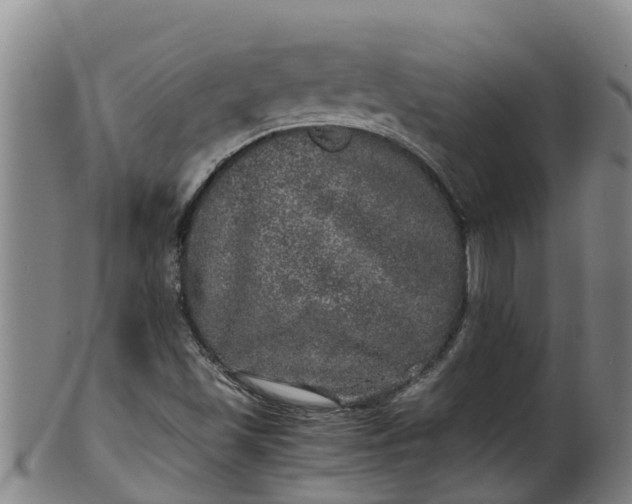 X0000100231501200806061356