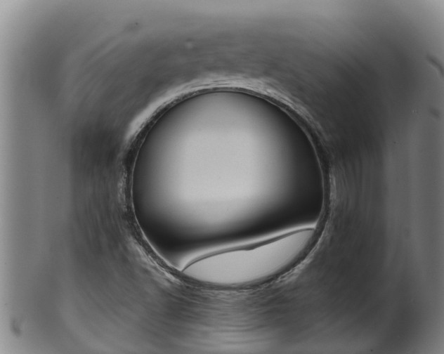 X0000100231502200806061356