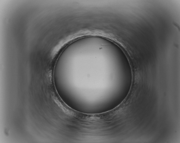 X0000100231503200806061356