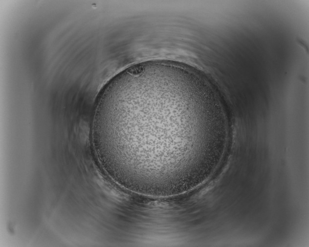 X0000100231505200806061356