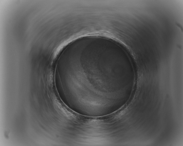 X0000100231506200806061356