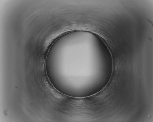 X0000100231507200806061356