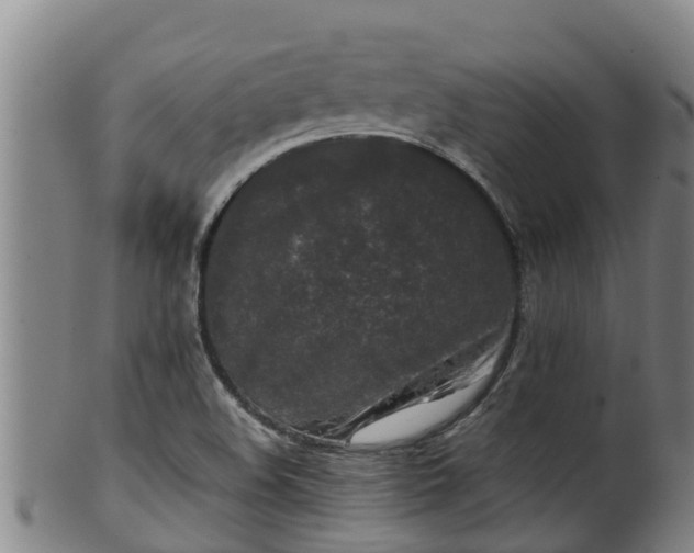 X0000100231508200806061356